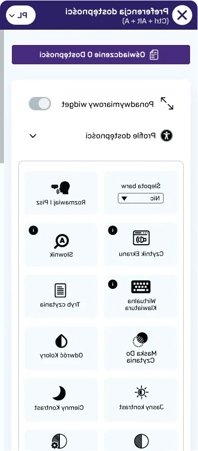 Polish website accessibility widget